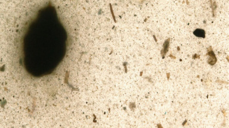 B05 Pultrusion von Halbzeugen mit gradierten Eigenschaften unter Verwendung von Rezyklaten aus Kunststoffabfallströmen