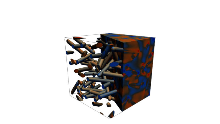 C01 Simultane Optimierung von Geometrie und gradierten Faserorientierungsverteilungen